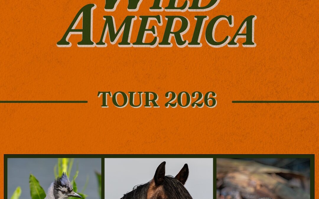 Turnpike Troubadours Extend Wild American Tour Through Summer 2026