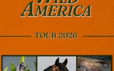Turnpike Troubadours Extend Wild American Tour Through Summer 2026