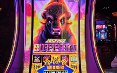 Buffalo™! Lucky Mohegan Sun Guest Turns $5 into $1.7 Million on Jackpot Buffalo™
